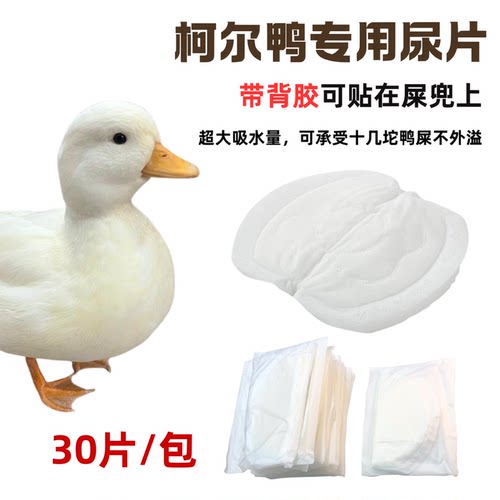 柯尔鸭专用吸水防漏尿片带背胶
