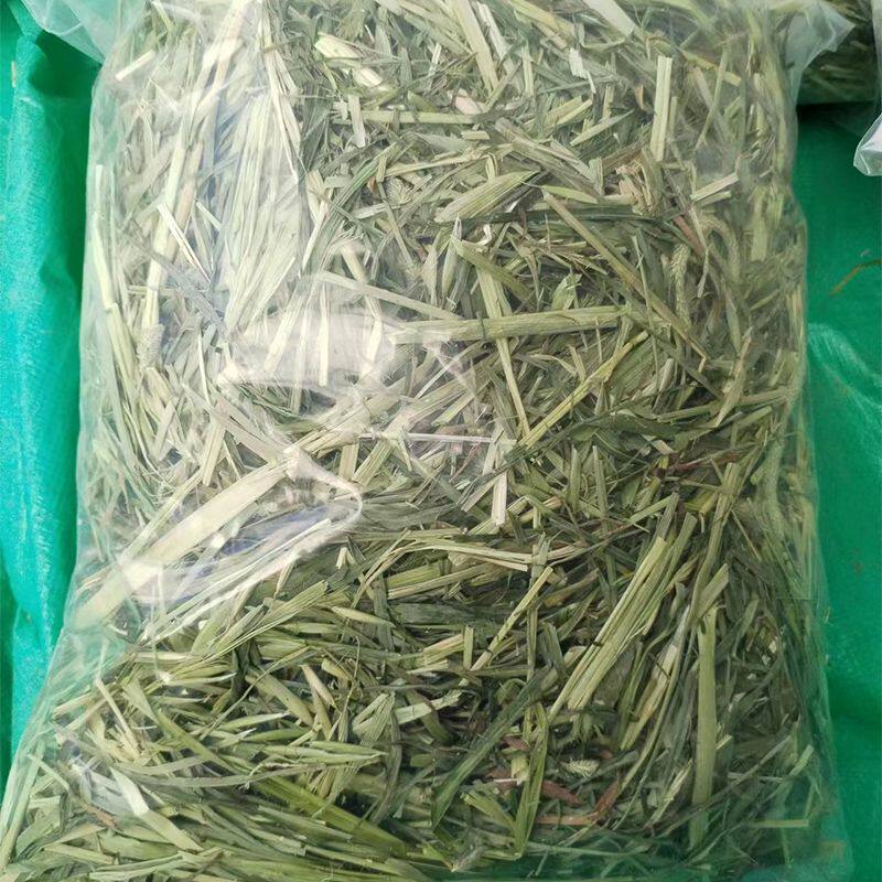 25年进口美提短草多杆提摩西草兔兔干草