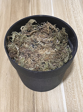 翼佳塑料天津简约包邮