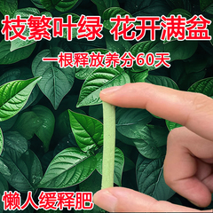 植物缓释肥营养棒养花通用型花肥家用盆栽复合肥料发财树花卉绿植