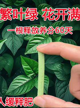 植物缓释肥营养棒养花通用型花肥家用盆栽复合肥料发财树花卉绿植