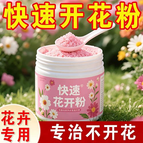 快速开花粉三角梅茶花开花肥料