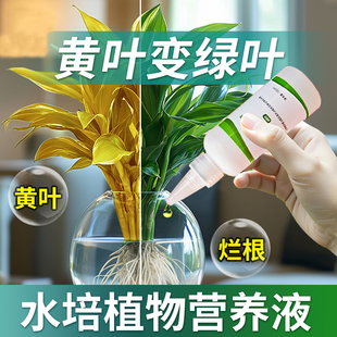 水培植物营养液通用型绿萝富贵竹转运竹碗莲铜钱草发财树专用肥料