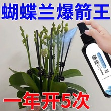 蝴蝶兰爆箭王植物营养液促花剑开花防黄叶兰花专用肥通用有机肥
