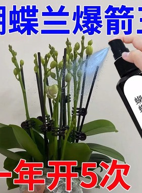 蝴蝶兰爆箭王植物营养液促花剑开花防黄叶兰花专用肥通用有机肥