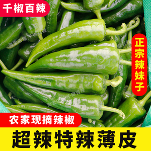 新鲜笨辣椒特辣新鲜青辣椒特辣辣妹子现摘现发包邮农家蔬菜青尖椒