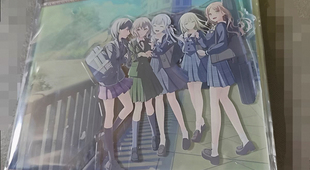 日散邦邦鸡狗对邦Crychic全员立牌mygo ave mijica合同live原袋