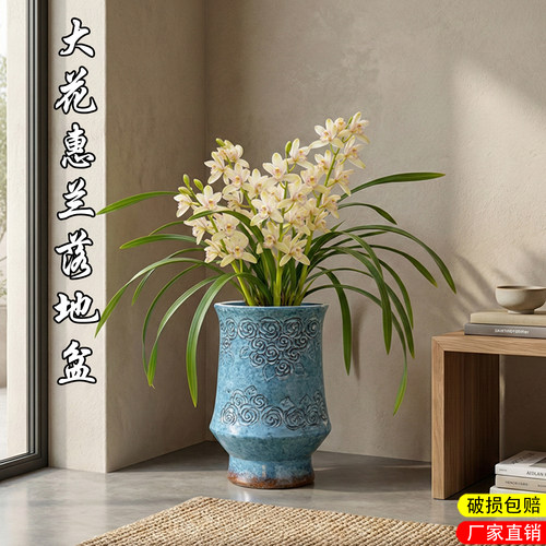 大号惠兰专用花盆陶瓷清仓特价室内多肉绿植老桩落地陶土高花盆