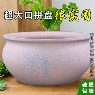 花盆大号个性大口径宽口矮盆浅口蝴蝶兰陶瓷多肉清仓捡漏圆绿植盆
