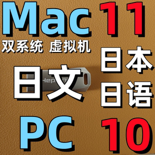 windows 10 win 11 双系统 虚拟机 日语日文 日版系统 iso安装u盘