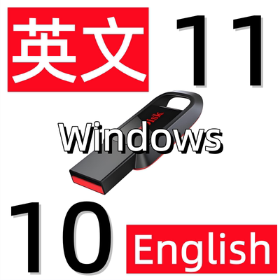 美国美版电脑重装系统 Win11 Win10 英语英文版 纯净安装u盘优盘
