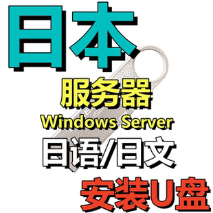 服务器日语日文版 Win 11 10 Server 2025 2022 2019 2016安装U盘