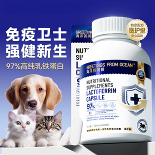 宠物保健品海洋的问候乳铁蛋白胶囊高纯度狗狗猫咪鱼油保健品80粒