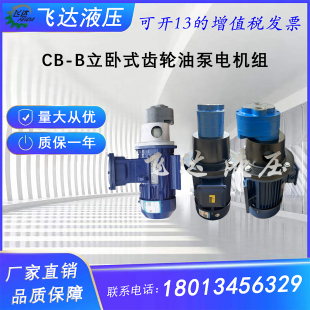 B16 B25 输油泵润滑JZ B63立卧式 B10JZ齿轮油泵电机组CB