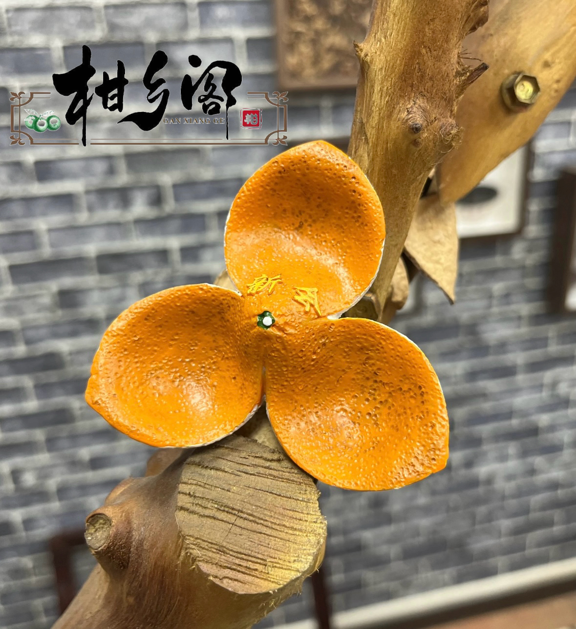 江门文创新会陈皮新会文创伴手礼