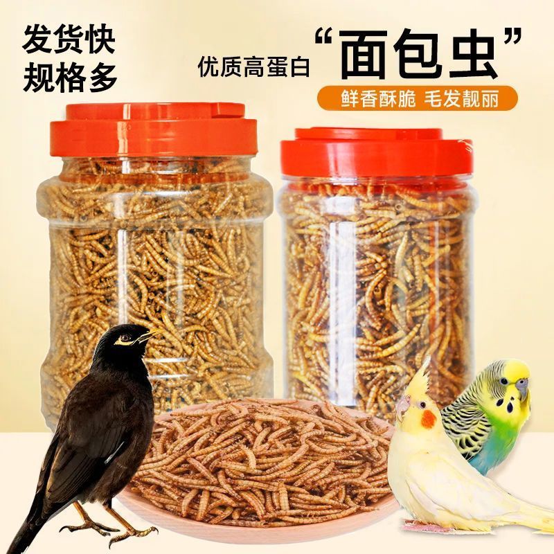 玄凤鹦鹉面包虫干高蛋白能量零食高营养鸟食八哥鹦鹉鹩哥乌鸫鸟食