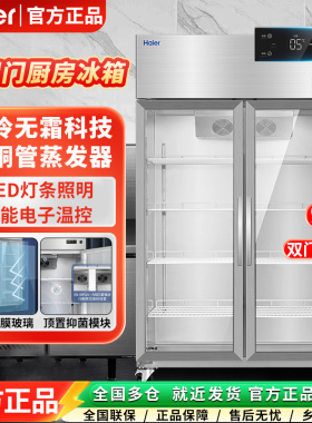 【可开专票】海尔大容量冰柜冷柜