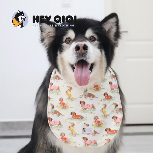 长毛狗狗吃零食保护胸毛口水巾