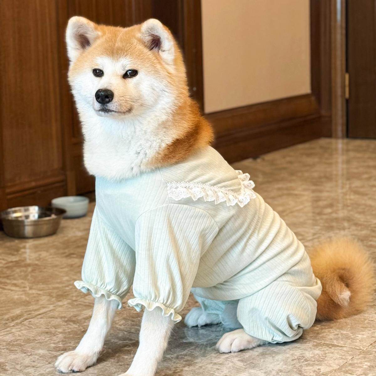 纯棉小女狗全包款花边四脚衣 家居服 空调服宠物狗狗服装金毛萨摩