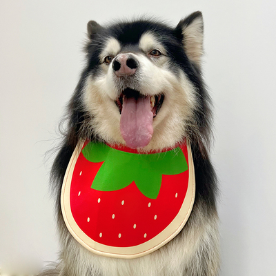 夏季大型犬狗狗车载接口水围巾
