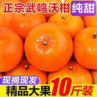【热卖】广西沃柑武鸣应季柑橘新鲜水果橘子当季桔子薄皮整箱