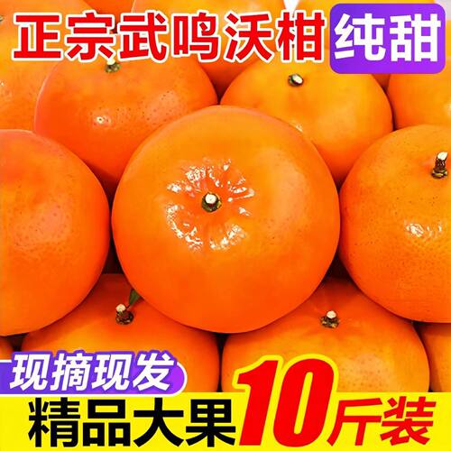 【热卖】广西沃柑武鸣应季柑橘新鲜水果橘子当季桔子薄皮整箱