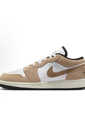 Jordan Air Jordan 1 儿童篮球鞋  青少年DZ5368-201