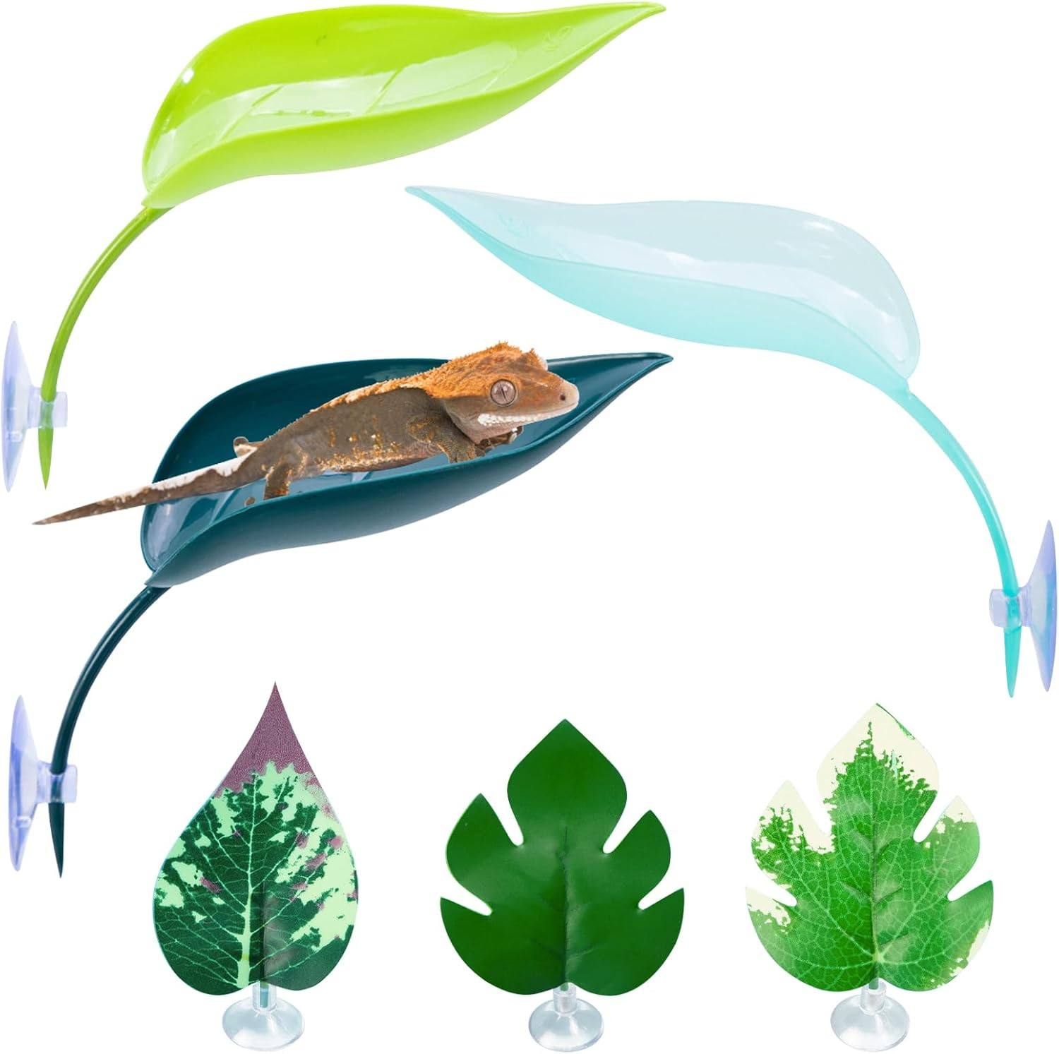 树栖爬宠攀爬叶悬浮窝睫角守宫树蛙R属躲避小乌龟造景休息饮水台