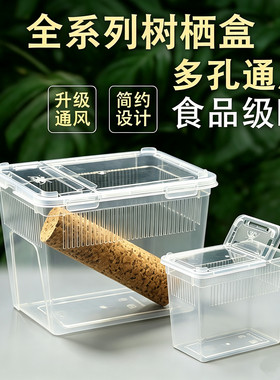 二代树栖盒昆虫睫角苗螳螂爬宠盒R属守宫饲养箱树蛙蟋蟀饲养盒