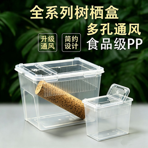 二代树栖盒昆虫睫角苗螳螂爬宠盒R属守宫饲养箱树蛙蟋蟀饲养盒
