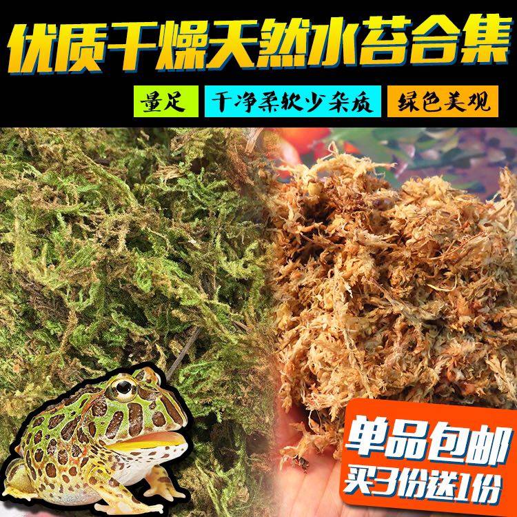 爬虫垫材天然保湿鲜水苔乌龟冬眠干苔藓宠物蛇角蛙蝎子乌龟苔藓,宠物/宠物食品及用品,爬宠缸/箱,淘宝优惠券,粉丝福利购,淘宝优惠卷
