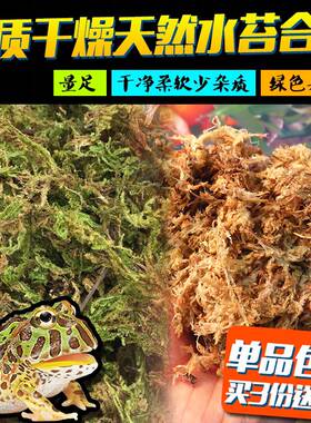 乌龟冬眠干苔藓乌龟冬眠用品