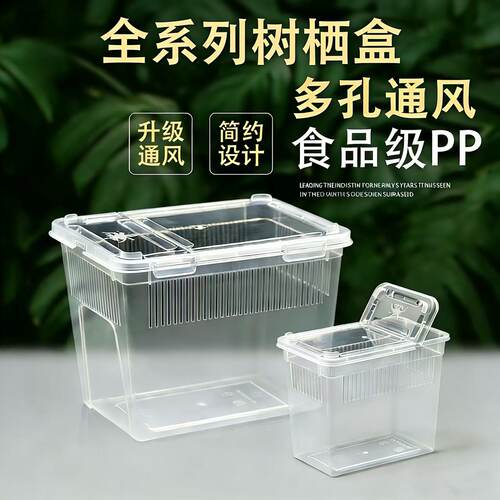 二代树栖盒昆虫睫角苗螳螂爬宠盒R属守宫饲养箱树蛙蟋蟀饲养盒