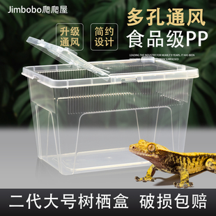 二代大号树栖盒R属睫角守宫饲养箱树蛙饲养盒螳螂蟋蟀蜘蛛爬宠盒