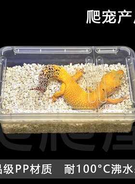 掌上名蛛豹纹守宫产房下蛋盒爬宠孵化盒蜥蜴睫角龟蛋孵化繁殖套装
