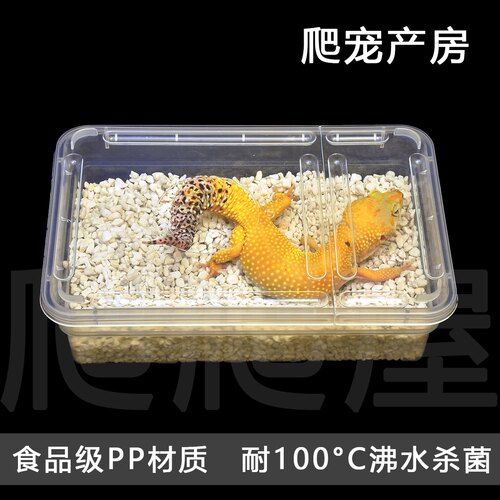 掌上名蛛豹纹守宫产房下蛋盒爬宠孵化盒蜥蜴睫角龟蛋孵化繁殖套装