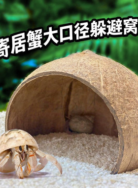 寄居蟹躲避屋大号小号菠萝屋椰壳天然躲避窝守宫蜘蛛洞穴爬宠造景