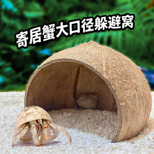 寄居蟹躲避屋大号小号菠萝屋椰壳天然躲避窝守宫蜘蛛洞穴爬宠造景