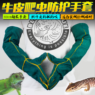 包邮60cm超长全牛皮爬虫防护手套IG绿鬣蜥蜴防抓巨蜥泰加蛇防咬
