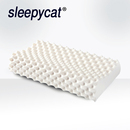 泰国进口护颈椎单人睡眠家用橡胶双人枕天然枕芯 乳胶枕头一对装