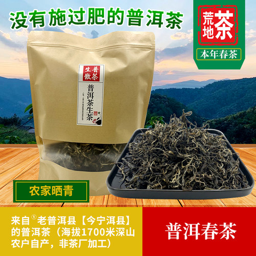 普洱茶生茶散茶不施肥特级春茶