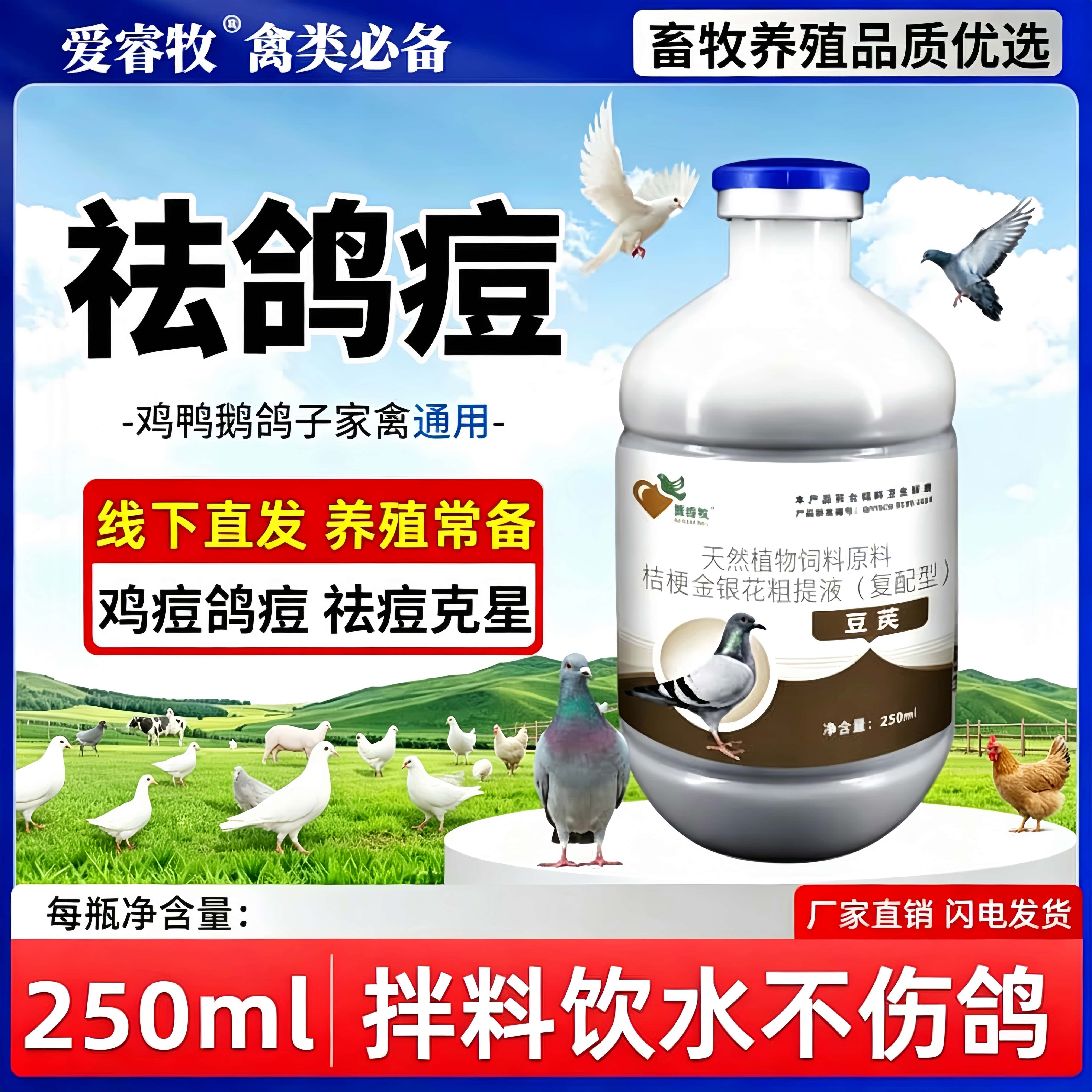 赛鸽幼鸽眼嘴脚长痘植物更安全