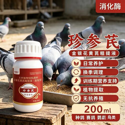 爱睿牧珍参芪金银花黄芪粗提液200ml鸽鸟养护无抗植物提取液