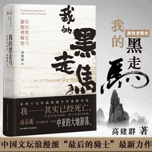 传奇史诗 彩色手绘插图 中国文坛浪漫派 我 骑士 游牧者 最后 新力作 黑走马——游牧者简史