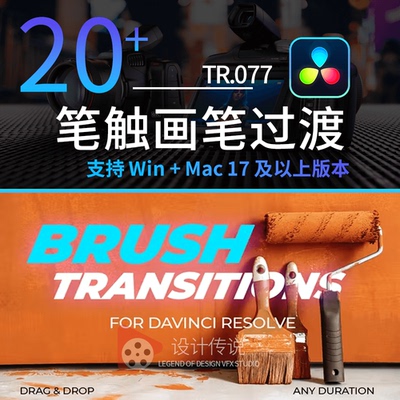 达芬奇20种带艺术气息像画布上的笔触画笔过渡 Brush Transitions