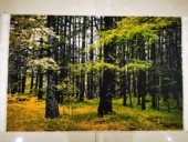 乡村北欧时尚 美式 田园壁毯i. 饰画欧式 风景挂毯客厅书房卧室床头装