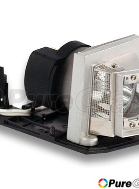 原装 OPTOMA 奥图码 投影机灯泡 DH1010/HD22/HD180/HT1081/TW615-3D/TH1020/PRO800P 带灯架 BL-FP230D