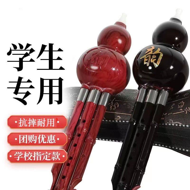 云南乐器树脂双音可拆降B调c调音准初学葫芦丝 儿童教学专用包邮