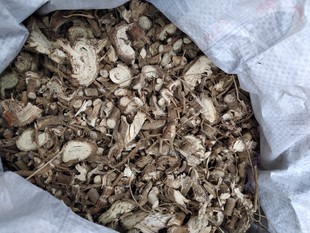 正品中草药野棉花根 清水胆 铁蒿 打破碗花花 切片晒干500克