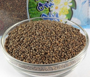 中药材紫苏子籽 紫苏种子生紫苏籽黑苏子 紫苏子 野麻 铁苏子